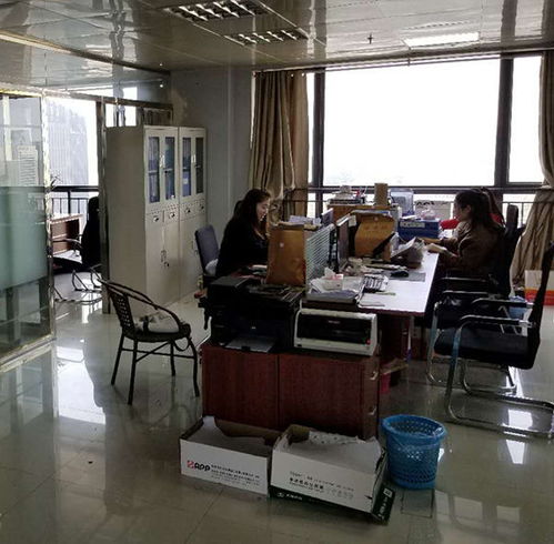 合肥代办企业增资,徽达财务,政务区食品流通许可证办理,合肥代办营业执照